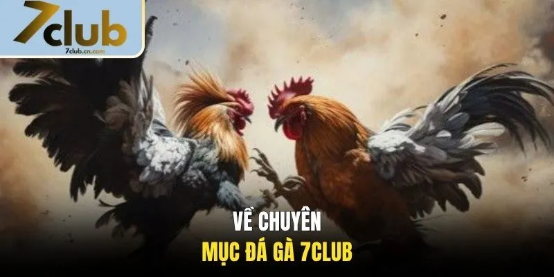 Thông tin chung về chuyên mục đá gà 7CLUB